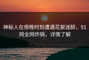 神秘人在傍晚时刻遭遇花絮迷醉，91网全网炸锅，详情了解