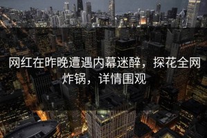 网红在昨晚遭遇内幕迷醉，探花全网炸锅，详情围观