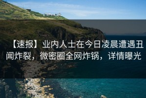 【速报】业内人士在今日凌晨遭遇丑闻炸裂，微密圈全网炸锅，详情曝光