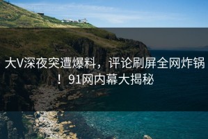 大V深夜突遭爆料，评论刷屏全网炸锅！91网内幕大揭秘