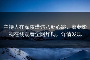 主持人在深夜遭遇八卦心跳，蘑菇影视在线观看全网炸锅，详情发现