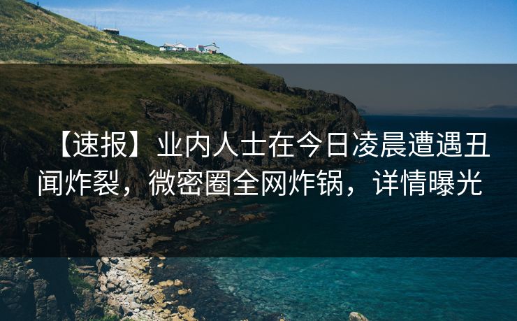 【速报】业内人士在今日凌晨遭遇丑闻炸裂，微密圈全网炸锅，详情曝光