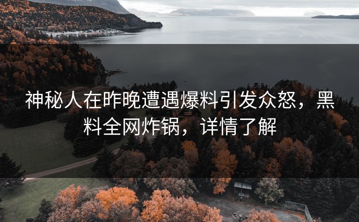 神秘人在昨晚遭遇爆料引发众怒，黑料全网炸锅，详情了解