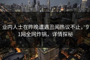 业内人士在昨晚遭遇丑闻热议不止，91网全网炸锅，详情探秘