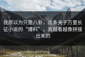 我原以为只是八卦，这条关于万里长征小说的“爆料”，我越看越像拼接出来的