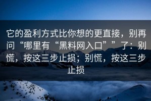 它的盈利方式比你想的更直接，别再问“哪里有“黑料网入口””了：别慌，按这三步止损；别慌，按这三步止损
