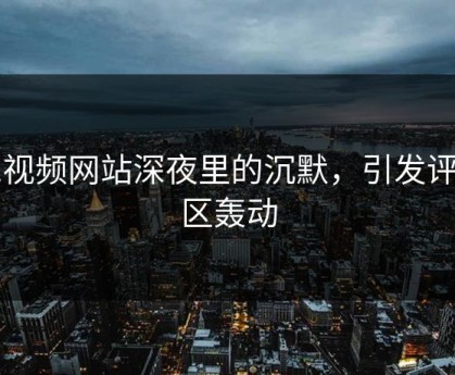 51视频网站深夜里的沉默，引发评论区轰动