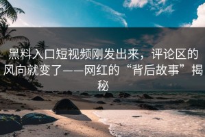 黑料入口短视频刚发出来，评论区的风向就变了——网红的“背后故事”揭秘