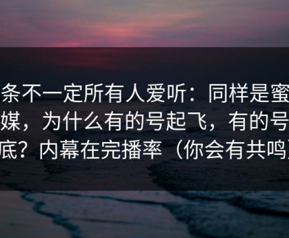 这条不一定所有人爱听：同样是蜜桃传媒，为什么有的号起飞，有的号沉底？内幕在完播率（你会有共鸣）