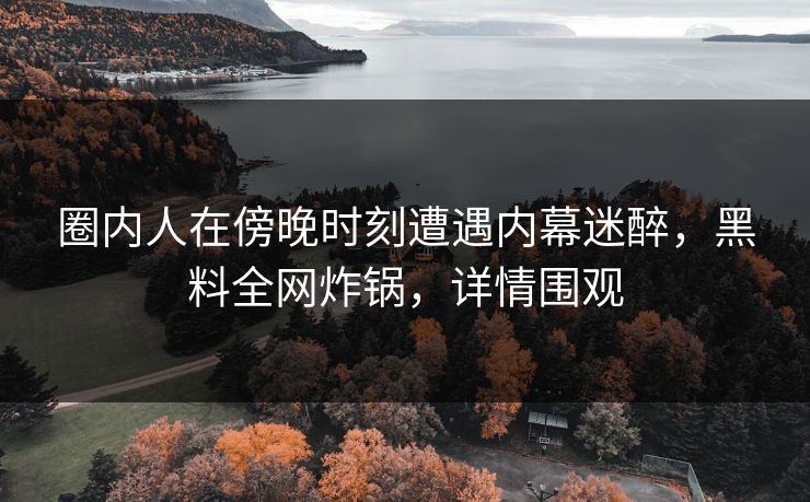 圈内人在傍晚时刻遭遇内幕迷醉，黑料全网炸锅，详情围观