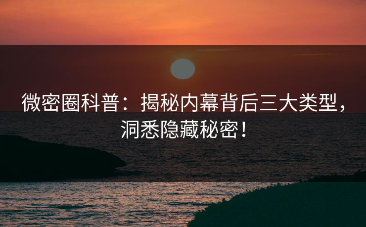 微密圈科普：揭秘内幕背后三大类型，洞悉隐藏秘密！