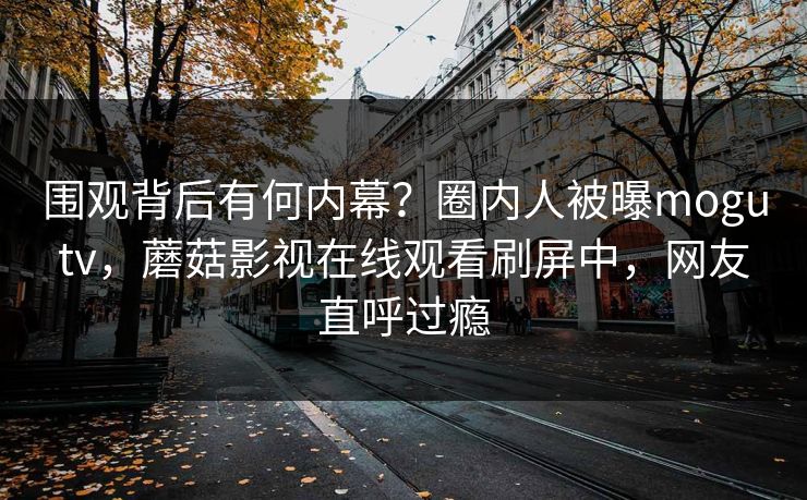 围观背后有何内幕?圈内人被曝mogutv,蘑菇影视在线观看刷屏中,网友直呼过瘾 围观背后有何内幕?圈内人被曝mogutv,蘑菇影视在线观看刷屏中,网友直呼过瘾