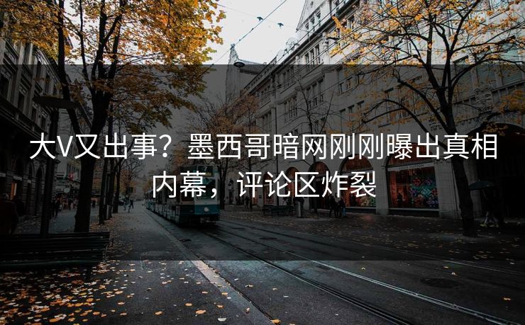 大V又出事？墨西哥暗网刚刚曝出真相内幕，评论区炸裂