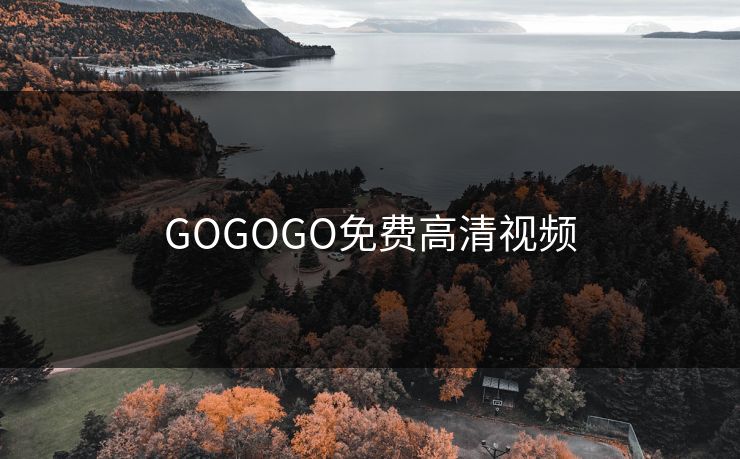 GOGOGO免费高清视频 GOGOGO免费高清视频